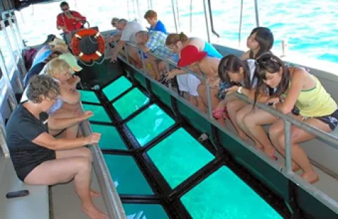 ACTIVITÉ Glass Bottom Boat to Turtle Island indonesiatravels_co_glassbottom_boat