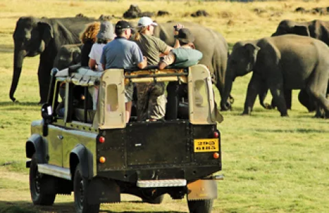 AKTIVITÄT Safari safari_indonesiatravels